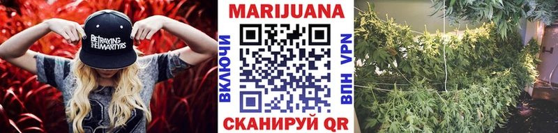 Бошки Шишки OG Kush  где найти наркотики  ссылка на мегу как войти  Сегежа 